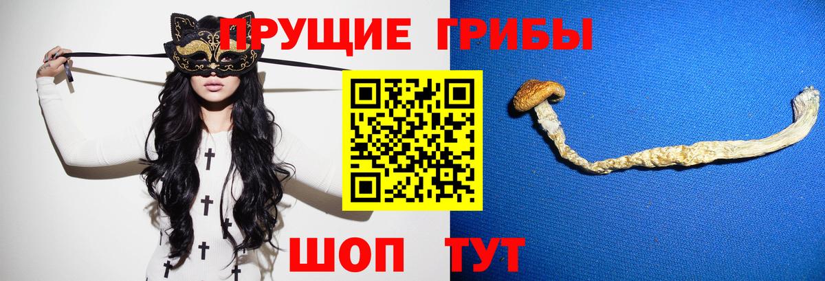 Кудрово  закладка  Вход с VPN  Псилоцибиновые грибы MAGIC MUSHROOMS 