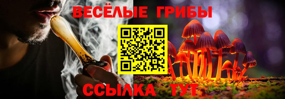 Галлюциногенные грибы Psilocybine cubensis Кудрово
